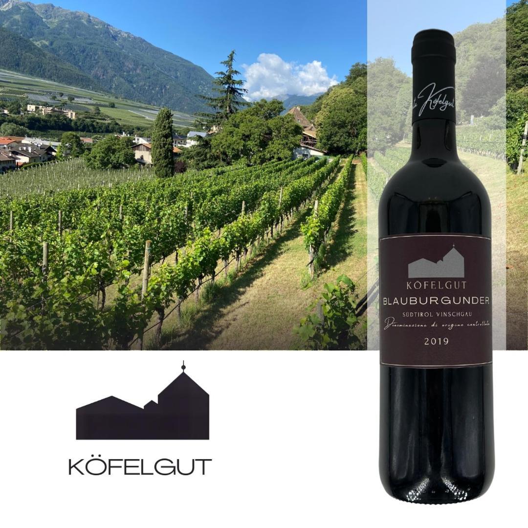 Weingut Koefelgut - Turris Vini Apartment Castelbello Exterior foto